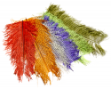 Feathers | Fly Tying | CzechNymph.com
