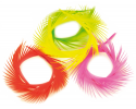 Other Feathers