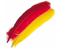 Wing Quills