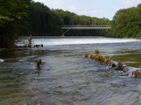 Gmundner Traun picture gallery