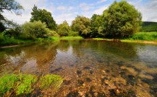 Unica (Unec) destination details