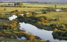 Silver Creek Destination Details