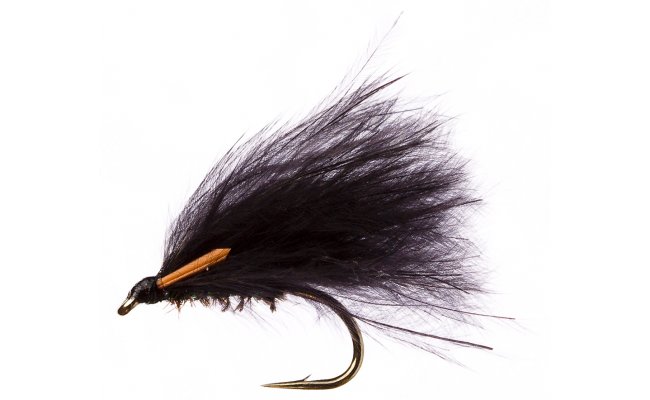 3D Green Cormorant  3D Green Cormorant, Size 10