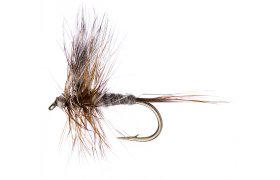 Adams Adams, Size 16