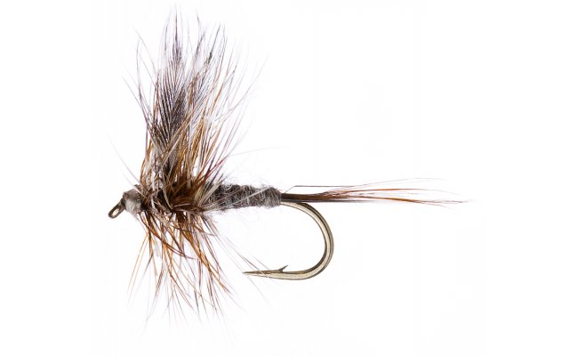 Adams Adams, Size 16