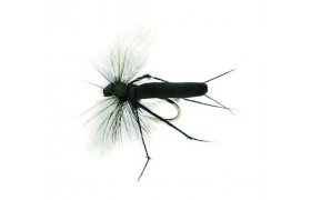 Aero Hawthorne B/L Aero Hawthorne B/L, Size 12