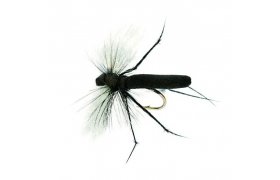 Aero Hawthorne Aero Hawthorne, Size 12