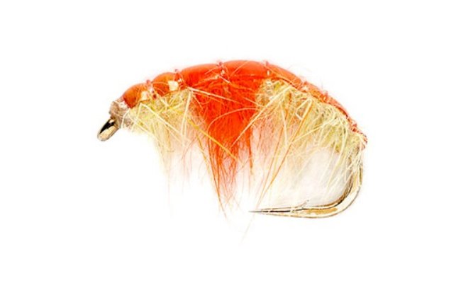 AK Hot Spot Shrimp AK Hot Spot Shrimp, Size 12