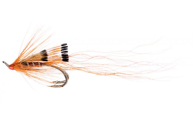 Ally's Shrimp Ally's Shrimp, Size 9