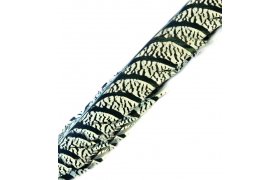 Amherst Pheasant Tail Veniard Amherst Pheasant Tail Veniard - Centre Piece 2pcs