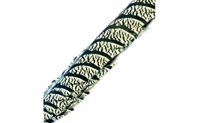 Amherst Pheasant Tail Veniard Amherst Pheasant Tail Veniard - Centre Piece 2pcs