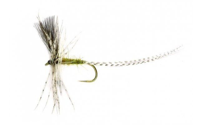 Andrzejs Polish Dun Andrzejs Polish Dun, Size 12