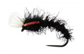 AR Carp Tuty AR Carp Tuty, Size 8