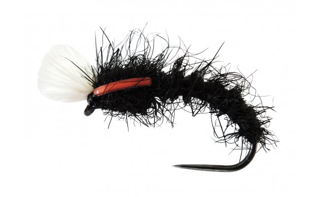 AR Carp Tuty AR Carp Tuty, Size 8