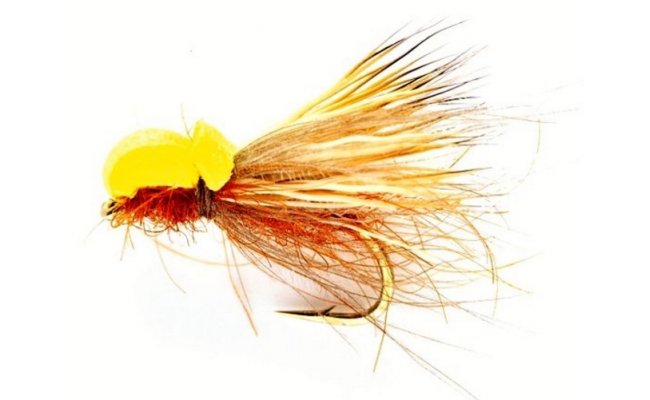 Balloon Caddis Orange Balloon Caddis Orange, Size 12