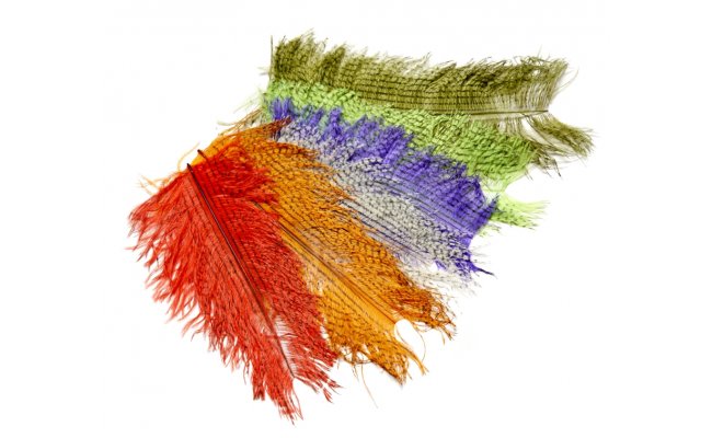 Barred Short Ostrich Veniard Barred Short Ostrich Veniard Green