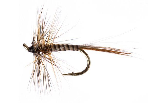 Beacon Beige Beacon Beige, Size 16