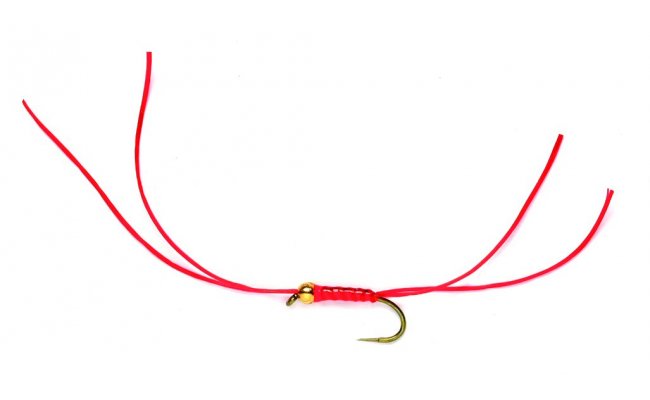 BH Holo App's Bloodworm B/L BH Holo App's Bloodworm B/L, Size 10