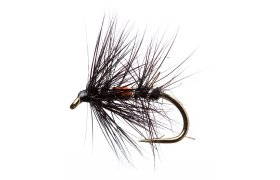 Bibio Bibio, Size 12