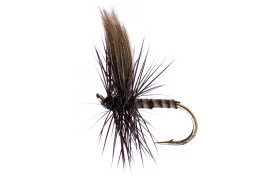 Black Gnat Quill Black Gnat Quill, Size 16