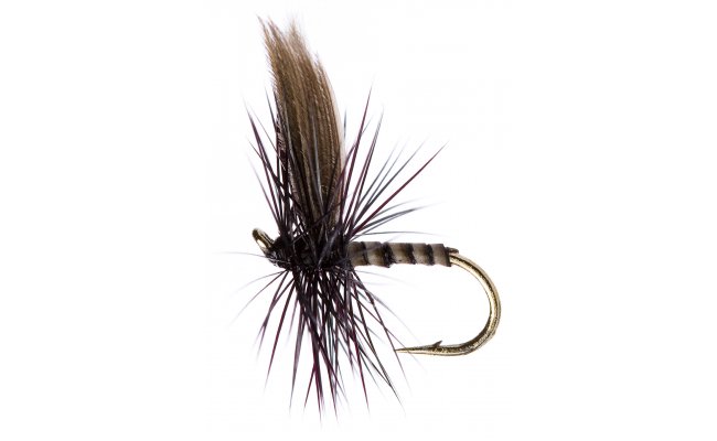 Black Gnat Quill Black Gnat Quill, Size 16