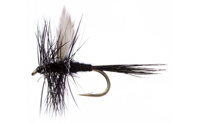 Black Gnat Black Gnat, Size 16