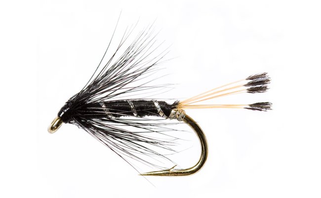 Black Pennell Black Pennell, Size 12