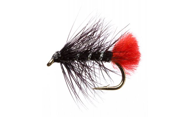 Black Zulu Black Zulu, Size 12