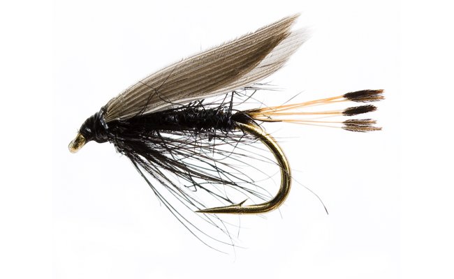 Blae & Black Blae & Black, Size 12