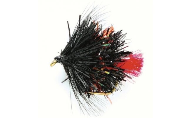 Blob Bibio Blob Bibio, Size 10