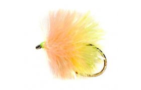 Blob Biscuit B/L Blob Biscuit B/L, Size 10