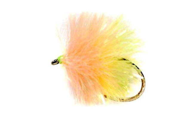 Blob Biscuit B/L Blob Biscuit B/L, Size 10