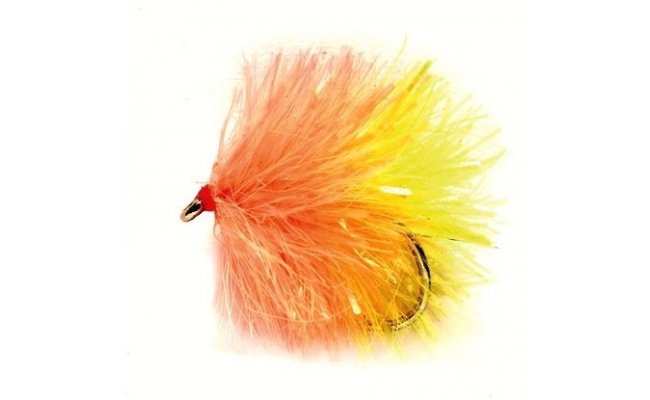 Blob Biscuit Blob Biscuit, Size 10