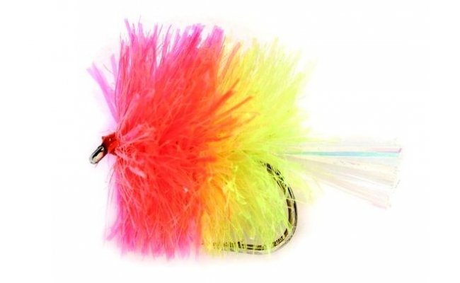 Blob Coctail Coral  Blob Coctail Coral, Size 10