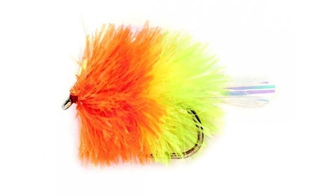 Blob Coctail Orange  Blob Coctail Orange, Size 12