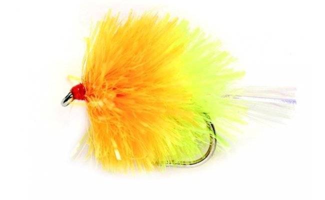 Blob Coctail Sunburst Blob Coctail Sunburst, Size 10