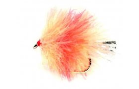 Blob Coral Spot Blob Coral Spot, Size 10