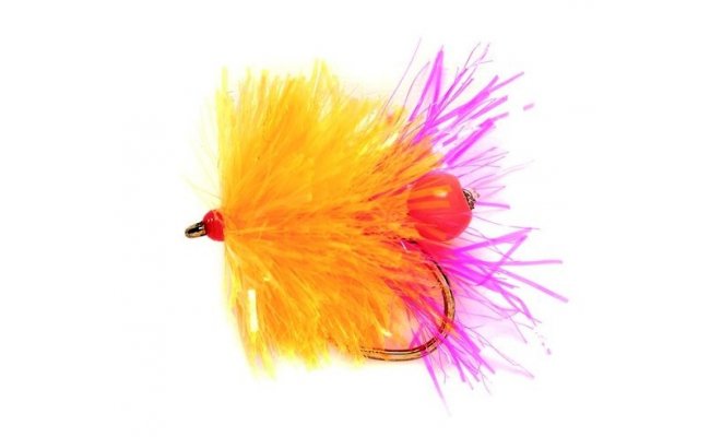 Blob Egg Laying Sunburst Blob Egg Laying Sunburst, Size 10