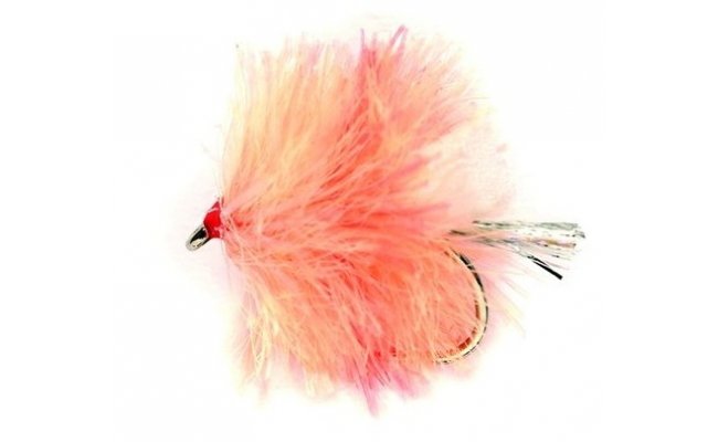 Blob FAB Coral Spot Blob FAB Coral Spot, Size 10