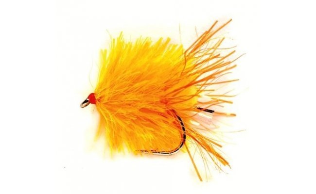 Blob FAB Sunburst Fire Tail Blob FAB Sunburst Fire Tail, Size 10