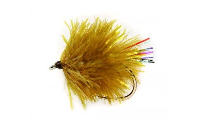 Blob Golden Olive B/L Blob Golden Olive B/L, Size 10