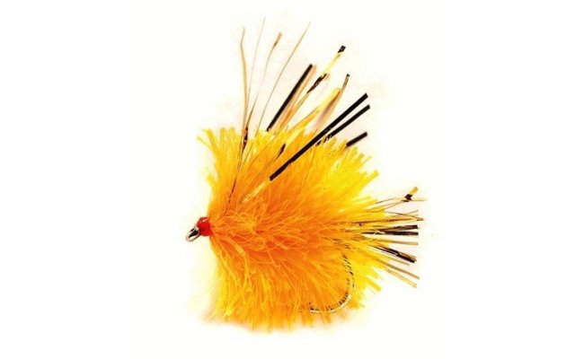 Blob Sunburst with Wings Blob Sunburst with Wings, Size 10