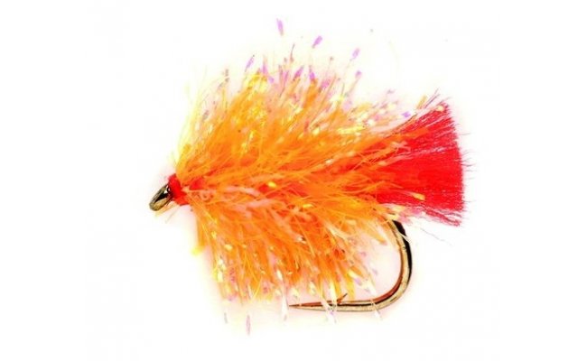 Blob Twinkle Orange Blob Twinkle Orange, Size 10