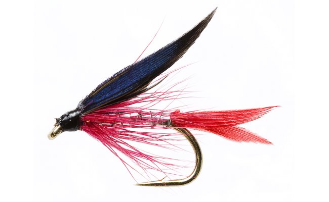 Bloody Butcher Bloody Butcher, Size 12