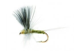 Blue Winged Olive Thorax Blue Winged Olive Thorax, Size 16