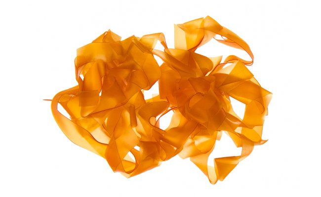 Body Stretch Hends Wide Body Stretch Hends Wide Transparent