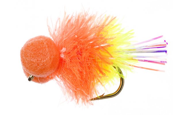 Booby Cocktail Orange Booby Cocktail Orange, Size 10