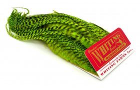 Bugger Pack Whiting Bugger Pack Whiting Grizzly Dyed Fluo Green Chartreuse