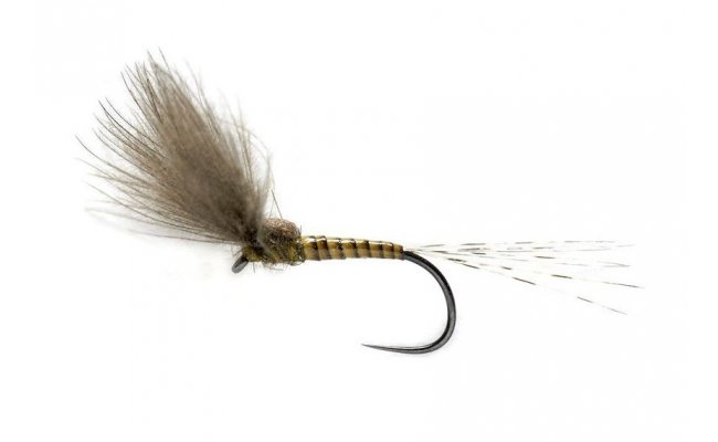 BWO Split Wing Dun BWO Split Wing Dun, Size 15