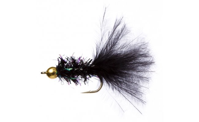 Cactus Fly Black Cactus Fly Black, Size 10